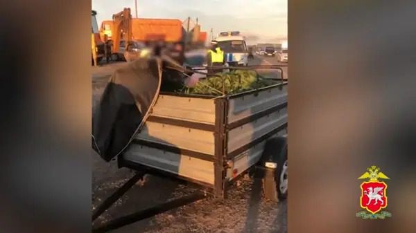 Более 20 кг конопли перевозил в автоприцепе крымчанин