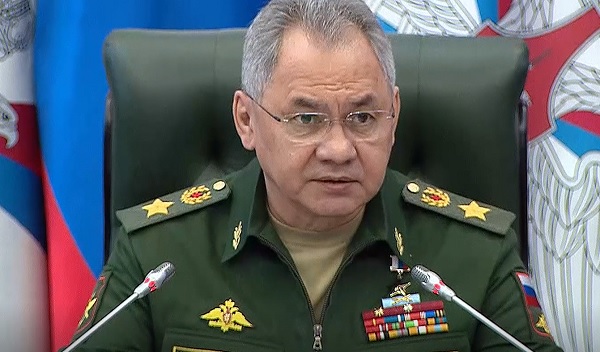 Планов по дополнительной мобилизации нет - Шойгу