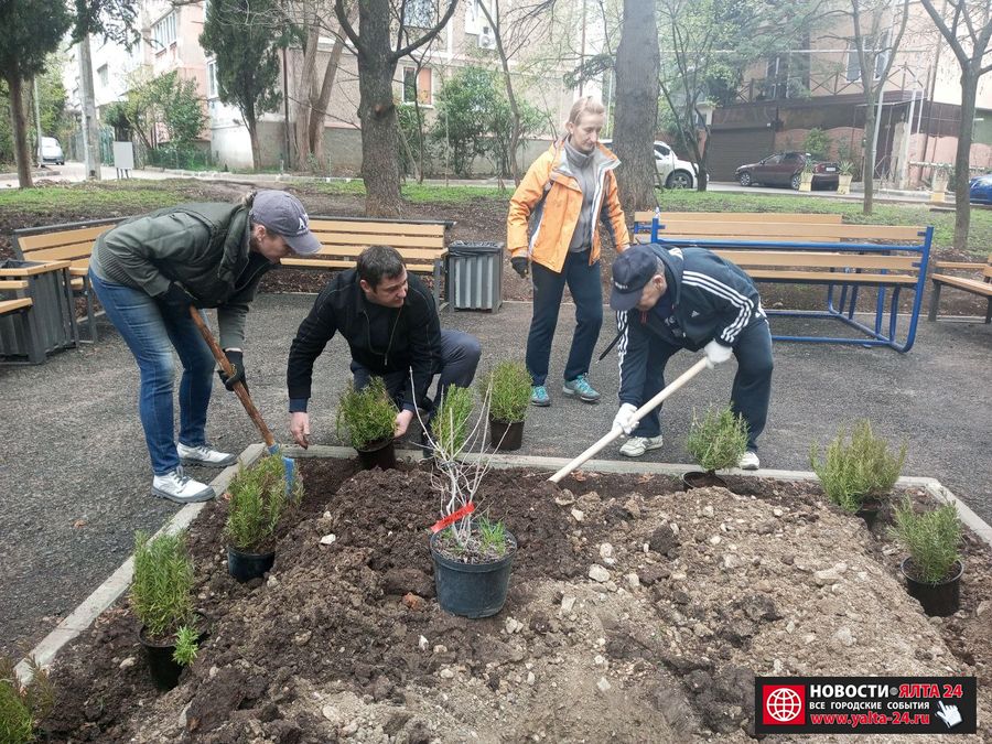 1 VISADKA RASTENIY KRIVOSHTI 04042023
