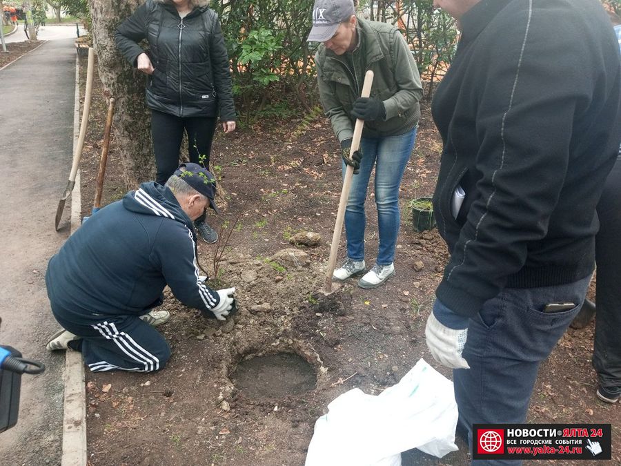 1 VISADKA RASTENIY KRIVOSHTI 04042023 3