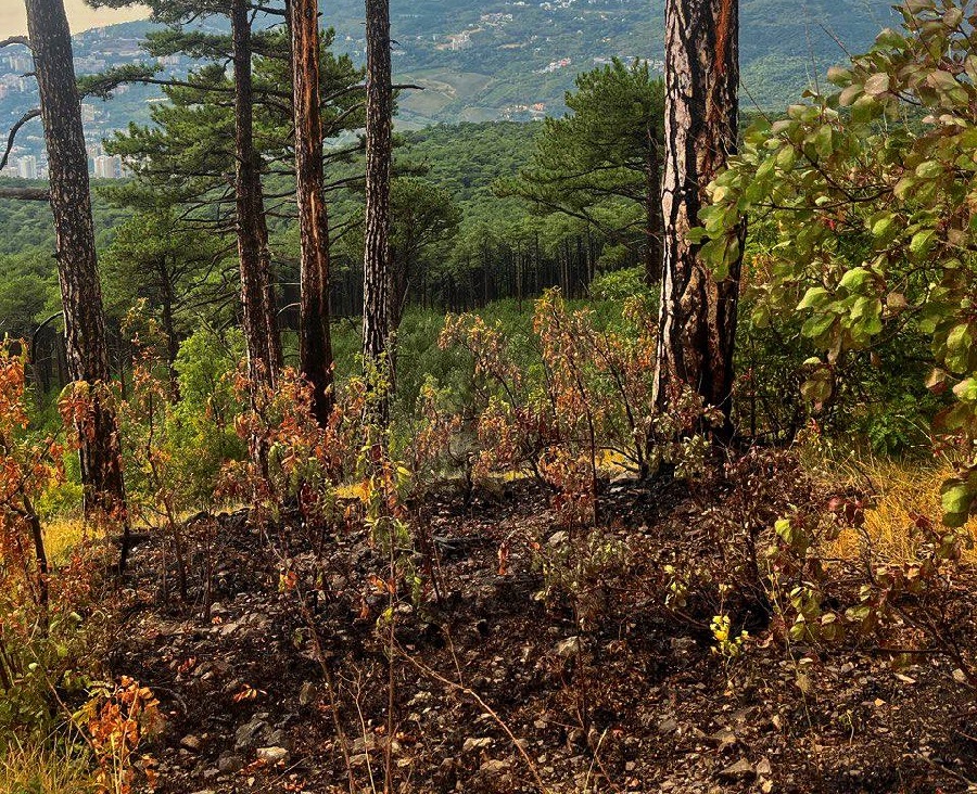 zapovednik vozgoranie 2