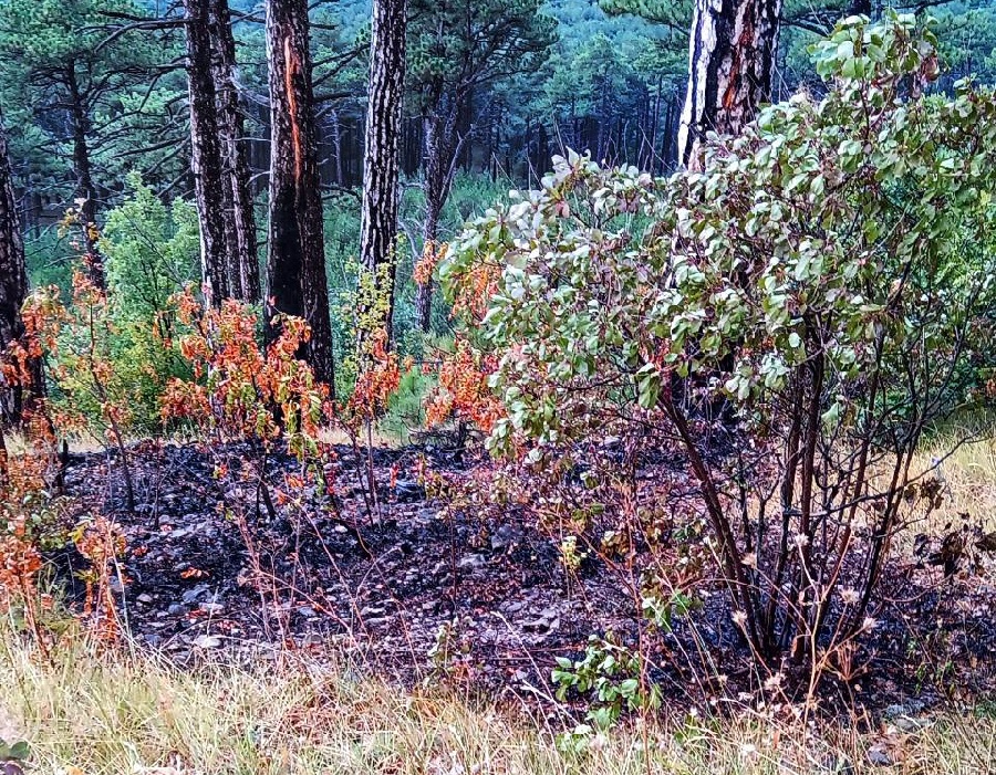 zapovednik vozgoranie 3