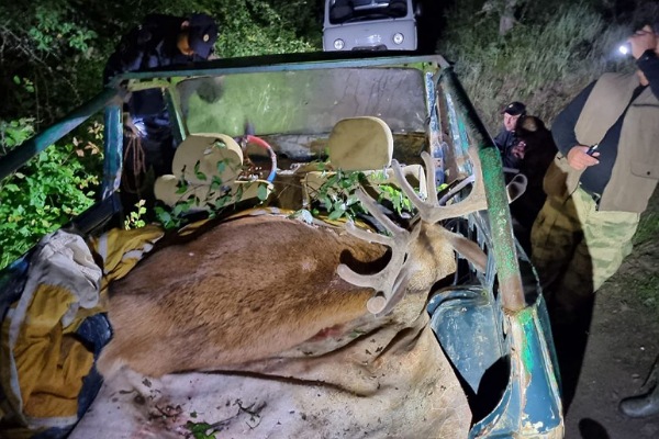 Двоих крымчан задержали за незаконную охоту и убийство оленя