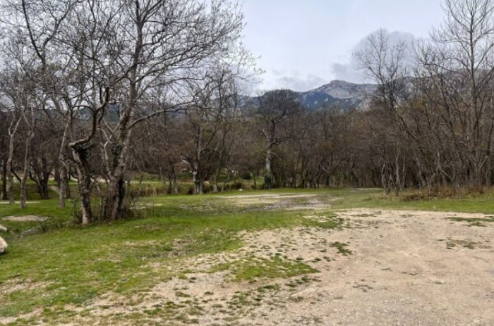 milutinskiy park 1