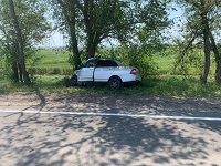Смертельное ДТП в Крыму: водитель "Лады Приоры" врезался в дерево