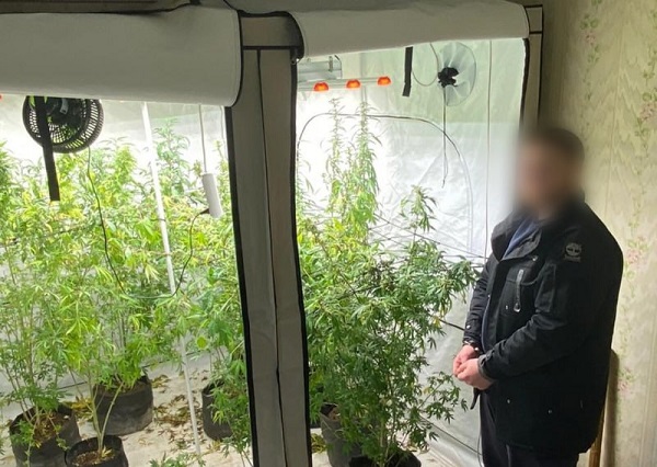 Ялтинец оборудовал по месту своего проживания бокс для выращивания конопли