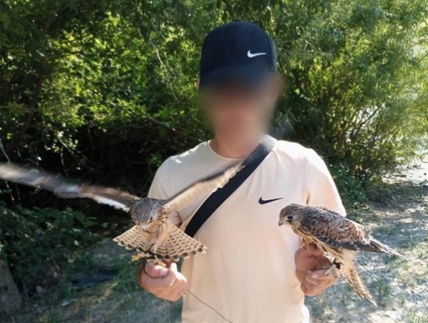 В Алуште полицейские забрали у фотографа хищных птиц