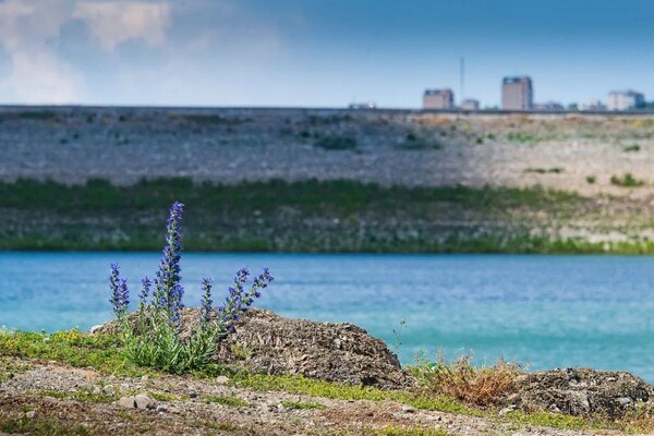 Прошедшие дожди в Крыму существенно пополнили водохранилища