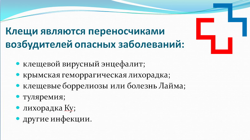 klesch1