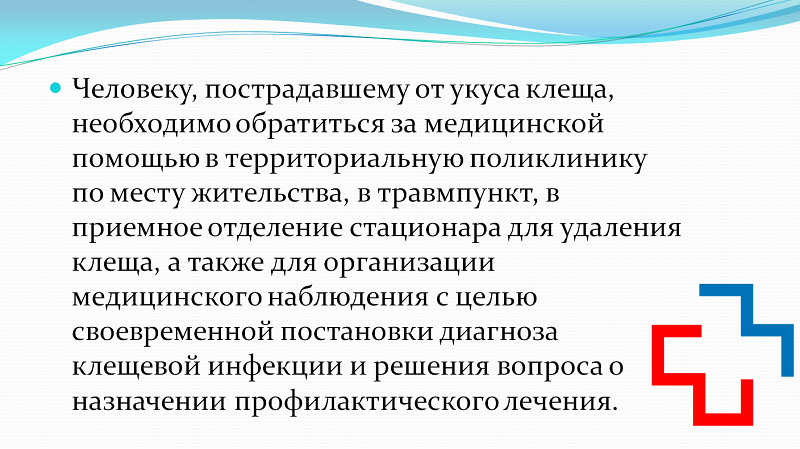 klesch5