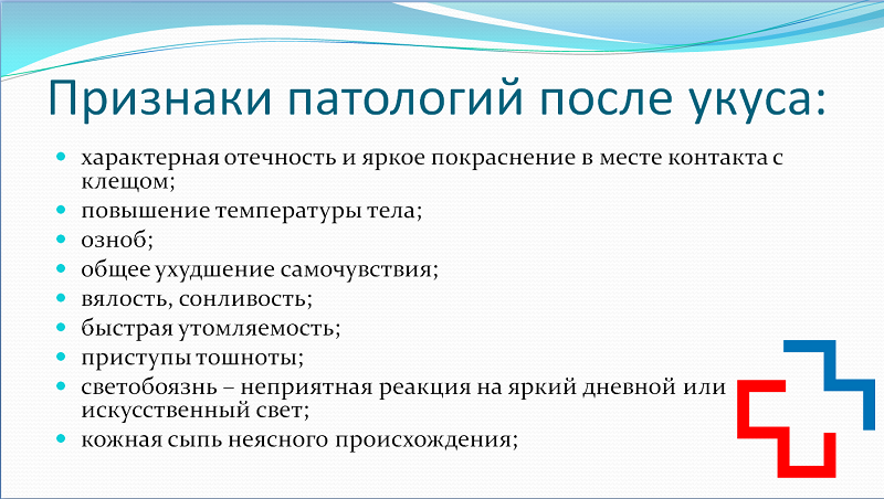 klesch8