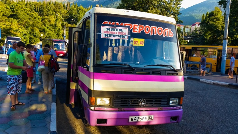 bus
